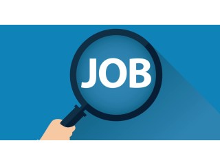 Part-Time School Bus Drivers Across the GTA