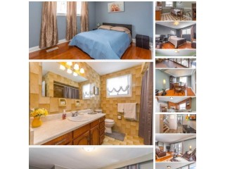 2 bedroom, 1 bath, 1 kitchen, basement apartment