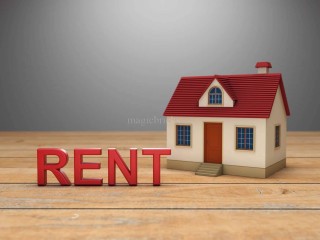 Main floor one room for rent