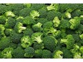 wholesale-vf-broccoli-small-0
